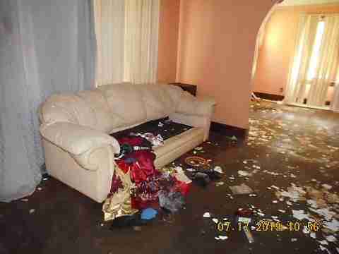 13117 Jane (12)_m.jpg